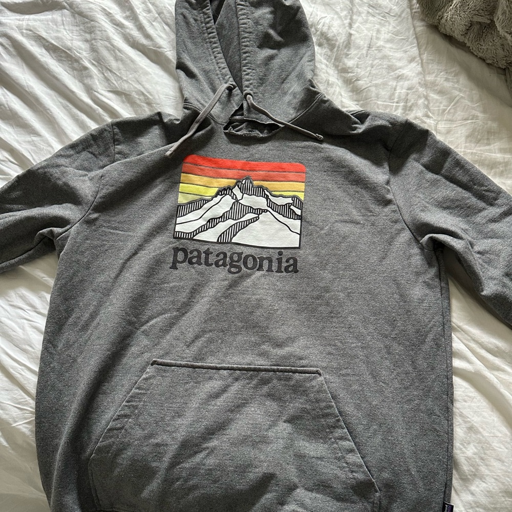 Patagonia Gray Hoodie with Mountain Graphic